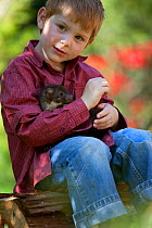 Domesticated Beech Marten (Martes foina) held by  young boy. Black Forest, Germany, May. Model released
