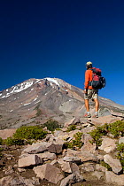 Hiker on the Grey Butte Trail with Mount Shasta in the distance, Shasta-Trinity National Forest, California, USA, September 2010, Model released.