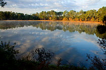 Early morning light on a small lake near the town of Townsend, Georgia, November 2008