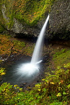 Upper Horsetail (Pony Falls) in the Columbia River George National Scenic Area, Oregon, USA, November 2010