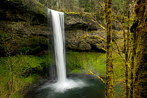 South Falls in Silver Falls State Park, Oregon, USA, May 2011