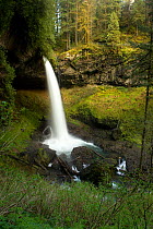 North Falls in Silver Falls State Park, Oregon, USA, May 2011