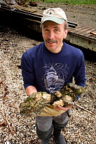 Man collecting oysters in Wescott Bay of San Juan Island, Washington, USA, May 2009