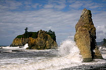 Waves crashing at high tide against seastack on Ruby Beach, Olympic National Park, Washington, USA, September 2009