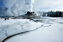 Castle Geyser erupting in the Upper Geyser Basin of Yellowstone National Park, Wyoming, USA, February 2011