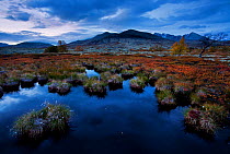 Wetlands and mountains in Rondane National Park, Norway, September 2010. Winner, Fritz Polking Junior Award portfolio, GDT 2011 Competition.
