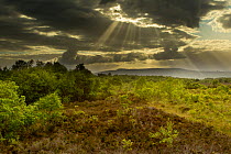 Sun's rays shining through dark clouds, Ballynahone Bog, County Antrim, Northern Ireland, UK, June 2011