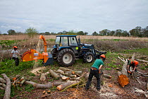 Volunteers help with Scrub clearance at Street Heath SWT reserve, Somerset Levels, Somerset, England, UK, April 2011