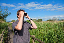 Man birdwatching in reedbeds at Westhay SWT reserve, Somerset Levels, Somerset, England, UK, June 2011 Model released