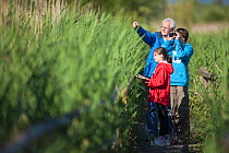 Family, man, boy and girl, birdwatching in reedbeds at Westhay SWT reserve, Somerset Levels, Somerset, England, UK, June 2011 Model released