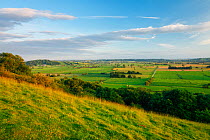 View south over the Somerset Levels from Walton Hill in summer, View includes Butleigh Moor, Somerton Moor, Street Moor, Low Ham Moor, Walton Moor, Pitney Moor, Huish Moor, Somerset, UK, June 2011