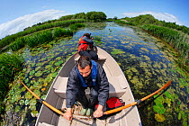 Photographer, Paul Harris, and SWT reserve manager, Mark Blake, working from a small boat at Westhay SWT reserve, Somerset Levels, Somerset, England, UK, June 2011, Model released. Photographer quote:...