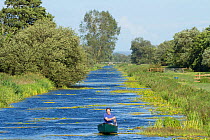 Man in canoe on North Drain, Tadham Moor, Wedmore, Somerset Levels, Somerset, England, UK, June 2011