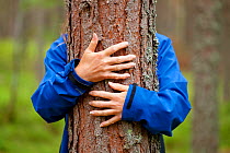 Close up of hands of woman 'hugging' Scots pine tree (Pinus sylvestris), Abernethy Forest, Cairngorms National Park, Scotland, UK, August 2010, Model released