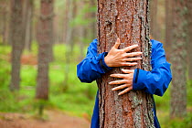 Close up of hands of woman 'hugging' Scots pine tree (Pinus sylvestris), Abernethy Forest, Cairngorms National Park, Scotland, UK, August 2010, Model released. 2020VISION Book Plate. Did you know? The...