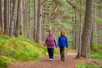 Two women (aged 65 and 40) walking through Abernethy Forest, Cairngorms National Park, Scotland, UK, August 2010
