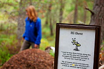 Woman aged 35-45 years walking past Wood ant's nest (Formica sp) with sign asking visitors not to damage it, Abernethy Forest, Cairngorms National Park, Scotland, UK, August 2010, Model released