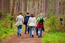 Four women and young child, rear view,  walking through Abernethy Forest, Cairngorms National Park, Scotland, UK, August 2010. 2020VISION Book Plate.