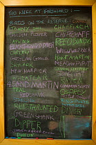 List of weekly bird sightings at Forsinard Flows RSPB visitor centre, Flow Country, Sutherland, Scotland, UK, June 2011