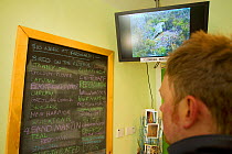 Man looking at list of recent bird sightings in Forsinard Flows RSPB visitor centre, Flow Country, Sutherland, Scotland, UK, June 2011