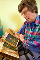 Visitor looking at Hen harrier journal, Forsinard Flows RSPB visitor centre, Flow Country, Sutherland, Scotland, UK, June 2011, Model released