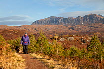 Man walking with dog along footpath through young Scots pine trees, Little Assynt Estate, near Lochinver, Assynt, Sutherland, NW Scotland, UK, January 2011, Model released