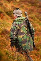 Man carrying gun, deer stalking, Assynt Foundation, Glencansip Estate, Assynt, Sutherland, NW Scotland, UK, January 2011. Model released