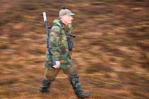 Deer stalker walking, carrying gun, Assynt Foundation, Glencansip Estate, Assynt, Sutherland, Scotland, UK, January 2011. Model released