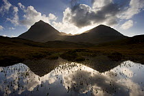 Quinag (Sail Ghorm and Sail Gharbh) and moorland pool, Assynt, Sutherland, NW Scotland, UK, October. Did you know? These wild mountains in Sutherland are home to wildcats and golden eagles but also pr...