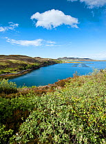 Tanera More with fish farm in distance, Coigach and Assynt, Sutherland, Scotland, UK, June 2011