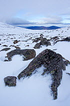 Glacial rocks in boulder field in snow, Coire an Lochain, Cairngorm Mountains, Cairngorms NP, Highland, Scotland, UK, February 2011