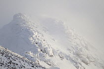 Mist swirling around Coire an Lochain in winter, Cairngorm Mountains, Cairngorms NP, Highland, Scotland, UK, February 2011