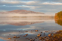 Loch Morlich at dawn, Cairngorms NP, Highland, Scotland, UK, April 2011
