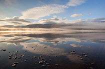 Loch Morlich at dawn, Cairngorms NP, Highland, Scotland, UK, April 2011