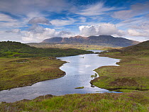 Quinag mountain seen beyond Loch Assynt, Coigach / Assynt SWT, Sutherland, Highlands, Scotland, UK, June.