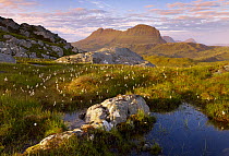 Suilven in early morning light, Coigach / Assynt SWT, Sutherland, Highlands, Scotland, UK, June 2011