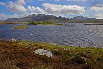 Loch Druidibeg looking south from the North side, Loch Druidibeg National Nature Reserve, South Uist, Outer Hebrides, Scotland, UK, May 2011