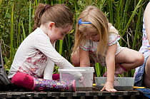 Two girls pond dipping and enjoying pond environment at Little Bradley Ponds, Bovey Tracy, Devon, UK. June 2011. Model released