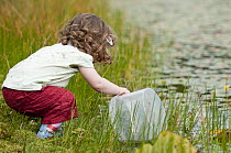 Toddler pond dipping and enjoying pond environment at Little Bradley Ponds, Bovey Tracy, Devon, UK. July 2011. Model released.