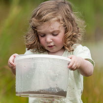 Toddler pond dipping and enjoying pond environment at Little Bradley Ponds, Bovey Tracy, Devon, UK. July 2011. Model released.