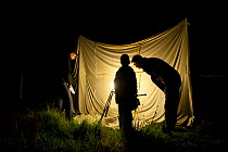 People at moth trapping event, organised by Devon Moth Group, at Hazelwood Farm, near Okehampton, Devon, UK. July 2011.
