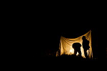 Silhouette of two men at moth trapping event, organised by Devon Moth Group, at Hazelwood Farm, near Okehampton, Devon, UK. July 2011.