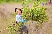 Local school child collecting cut branches from tree saplings growing at Westhay to maintain wetland habitat, Westhay Nature Reserve (Somerset Wildlife Trust), Somerset Levels, Somerset, UK. June 2011...