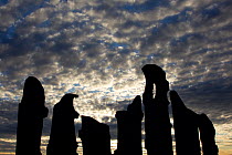 Cloud patterns at dawn viewed up through silhouettes of standing stones on  blanket bog, Flow country, Forsinard, Caithness, Highland, Northern Scotland, UK, June 2011