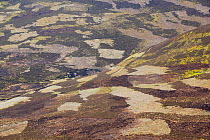 Patchwork of muirburn on moorland managed for grouse shooting, Cairngorms NP, Deeside, Scotland, UK, June 2011