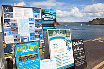 Tourist signs promoting boat trips and tourist exhibits based around the presence of White tailed sea eagles, Portree, Skye, Inner Hebrides, Scotland, UK, June 2011
