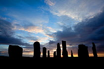 Callanish Stones silhouette at sunrise, Isle of Lewis, Western Isles / Outer Hebrides, Scotland, UK, May 2011