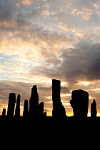 Callanish Stones silhouette at sunrise, Isle of Lewis, Western Isles / Outer Hebrides, Scotland, UK, May 2011