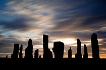 RF- Callanish Stones silhouette at sunrise. Isle of Lewis, Western Isles / Outer Hebrides, Scotland, UK. May 2011. (This image may be licensed either as rights managed or royalty free.)