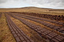 Community peat diggings, North Harris, Western Isles / Outer Hebrides, Scotland, UK, May 2011